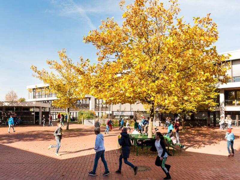 Im Vordergrund ist ein rot gepflasteter Schulhof mit älteren Kindern zu sehen. In der Mitte steht ein Baum mit gelben Blättern, im Hintergrund ein Schulgebäude.