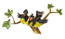Drei gezeichnete schwarze Vögel mit orangefarbenen Schnäbeln sitzen in einem Nest auf einem Ast mit grünen Blättern.