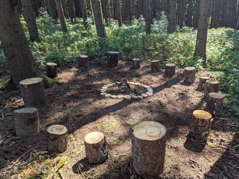 Im Bild sind abgesägte Baumstümpfe in einem Kreis um ein zentrales Lagerfeuer aus Holzscheiben in einem dichten Wald zu sehen.