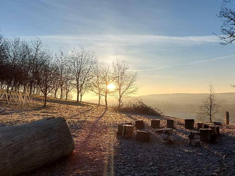 Die Szene zeigt einen sonnigen Wintermorgen mit Bäumen, Baumstümpfen um eine Feuerstelle und einem klaren Himmel im Hintergrund.