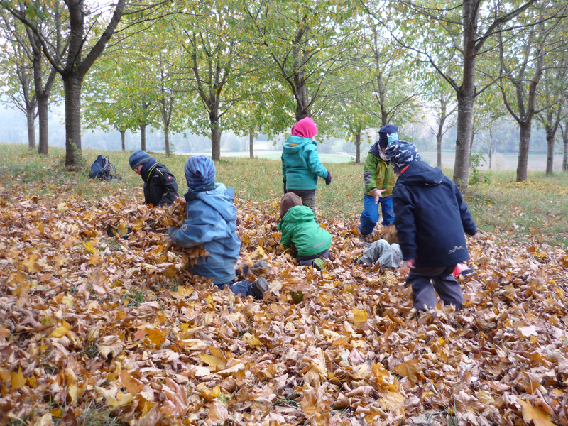 Eine Gruppe von Kindern spielt auf einer Wiese voller Herbstlaub unter Bäumen.