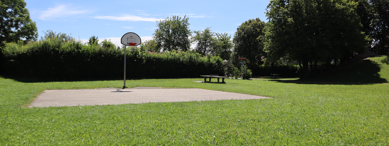 Eine kleine Freiluft-Streetballfläche auf einem Rasen befindet sich in einem parkähnlichen Gelände mit Tischtennisplatte Bäumen im Hintergrund.