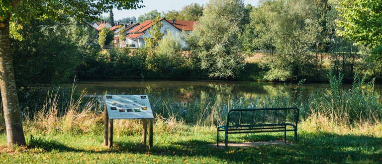Foto vom Isenauenpark mit Sitzbank und Blick auf See