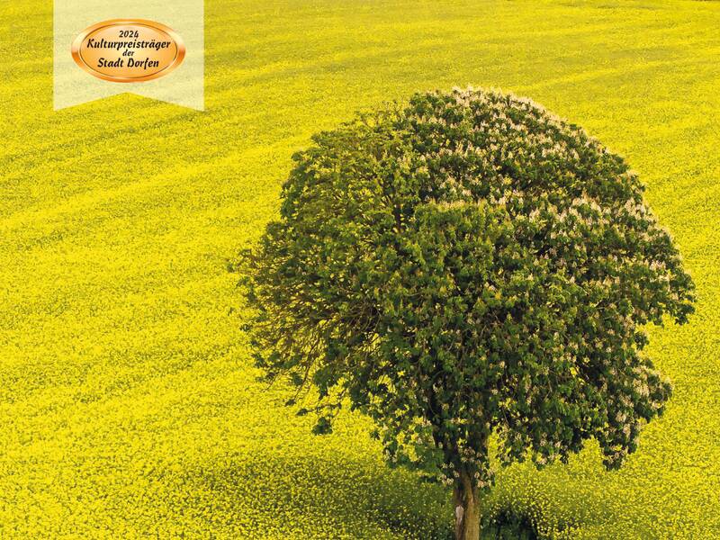 Plakat für die Ausstellung Baum - Bäume - Wald der Fotoklicke Dorfen mit einer Fotografie eines Laubbaums