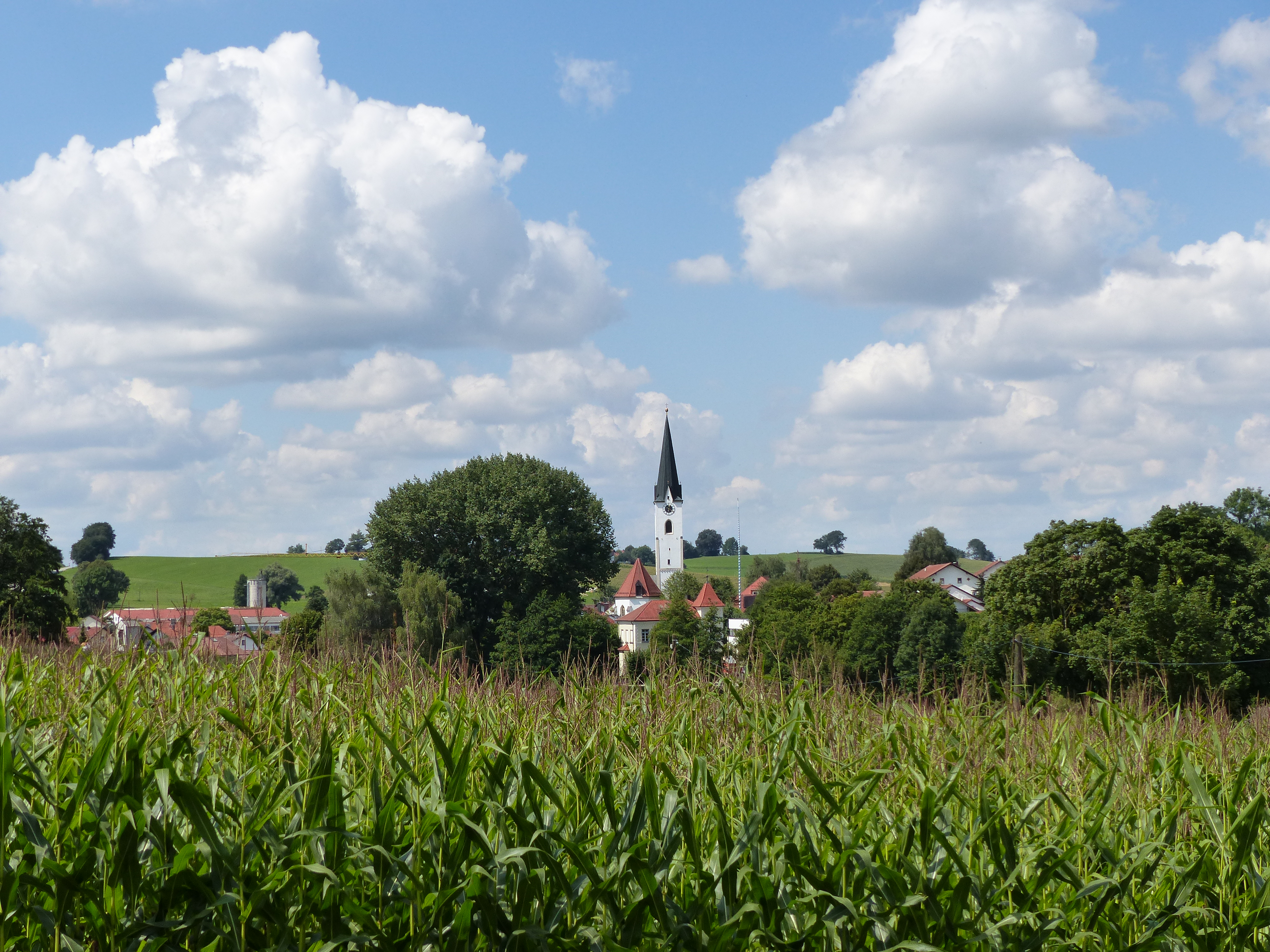 Blick auf Grüntegernbach