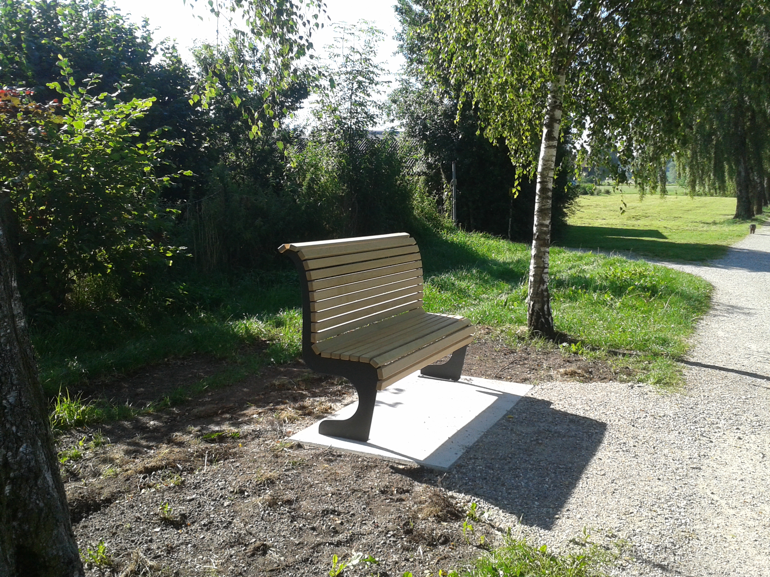 Sitzgelegenheit Birkenallee