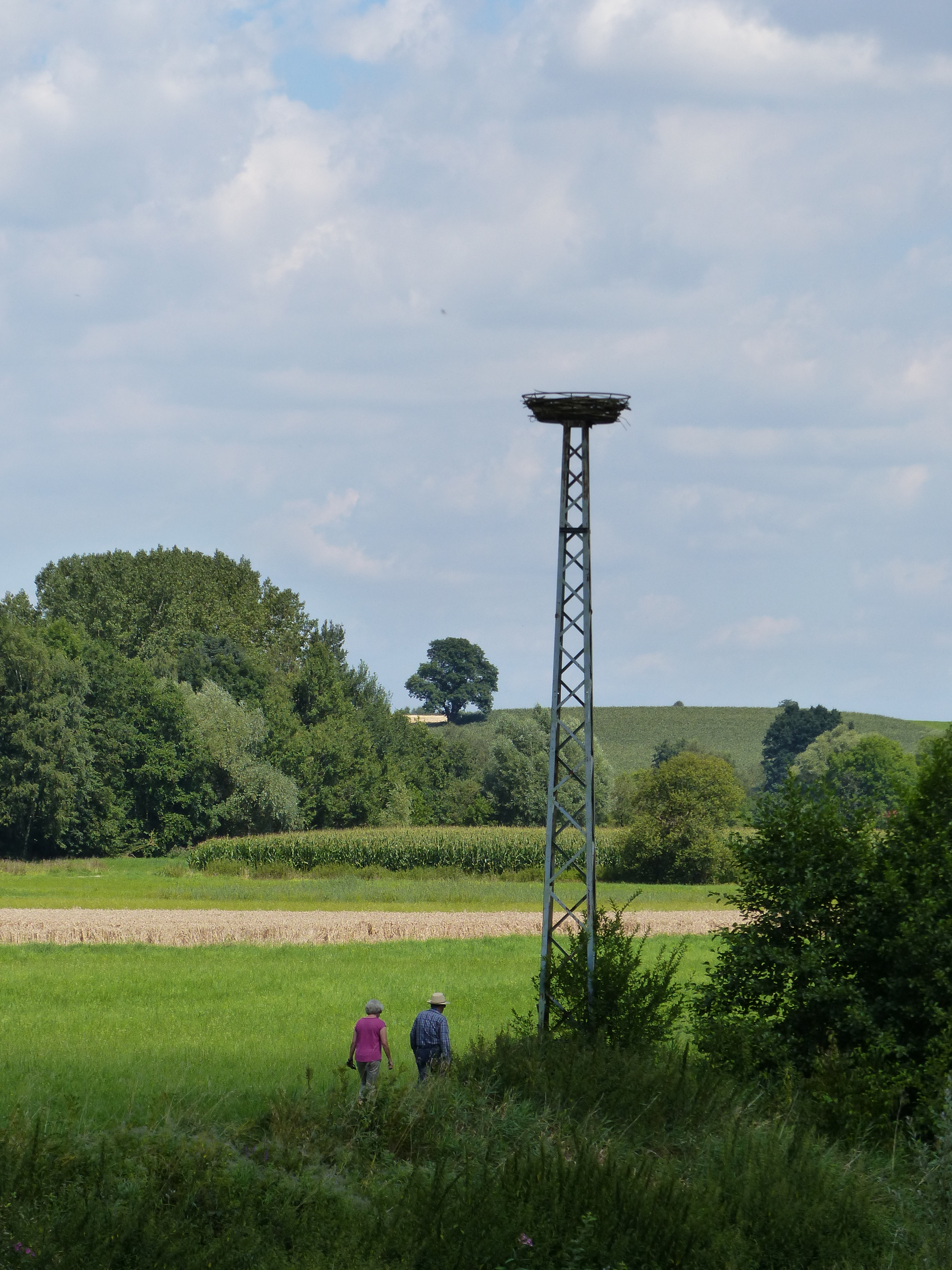 Isenauenpark Storchennest