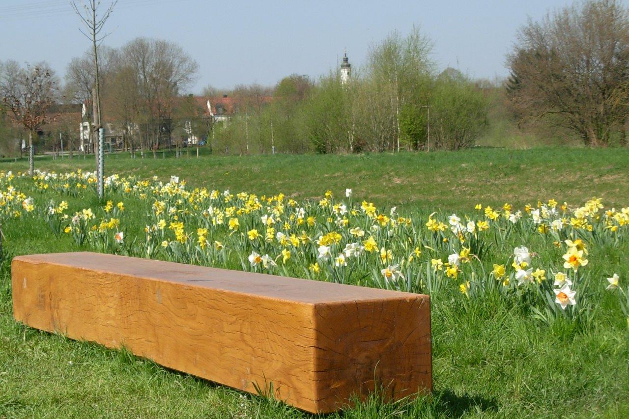 Isenauenpark Frühling