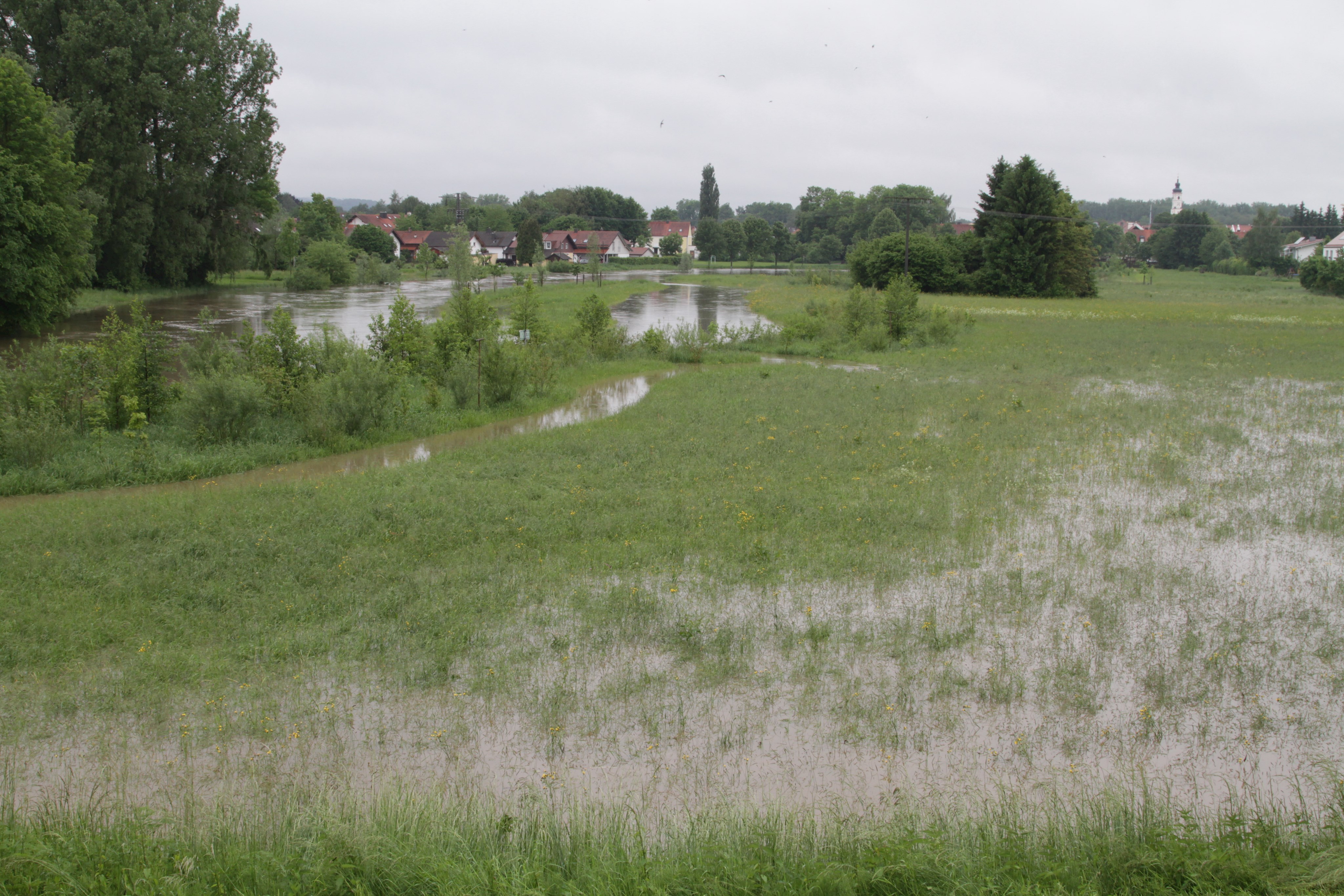 Hochwasser im Isenauenpark