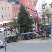 Christbaum Marienplatz.jpg