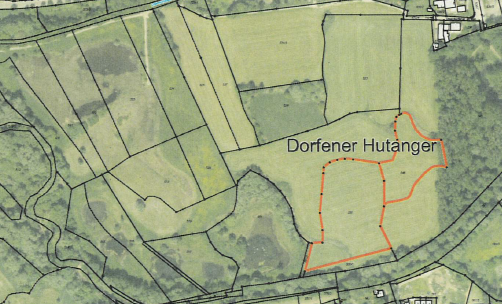 Geförderter Grunderwerb für Maßnahmen des Naturschutzes